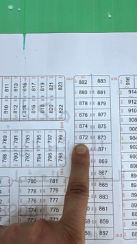 قطعه توزيع • باب زيد • تنومه البيبان