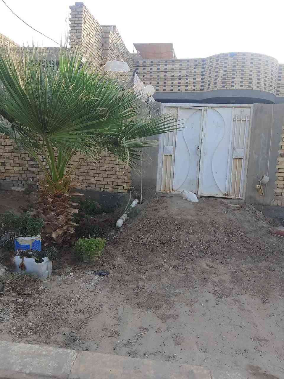 حي صادق • ٢٥٠م • غرفتين