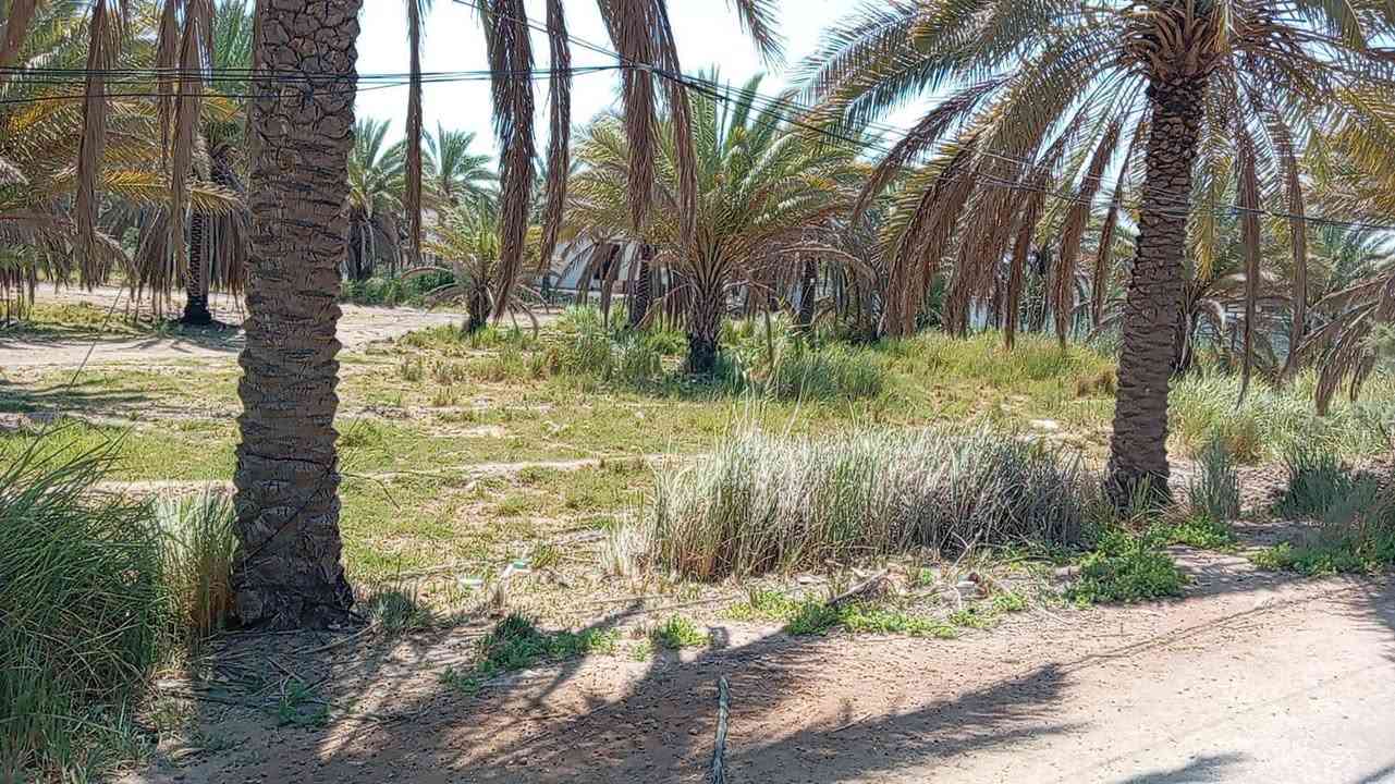 قطعة ارض للبيع ١٥٠٠ متر (طابو زراعي) محاطة بشارعين تبليط الشارع عرضه ٩ متر القطعة متوفر فيها كافة الخدمات كهرباء وماء اسالة وماء سقي، القطعة قريبة على الشارع العام جدا، القطعة تصلح لأي شي سكن او حسينية او مخازن .
مكان القطعة شارع بغداد كربلاء عامود ٦٦٣
للاستفسار ***********
قطعة ارض للبيع ١٥٠٠ متر (طابو زراعي) محاطة بشارعين تبليط الشارع عرضه ٩ متر القطعة متوفر فيها كافة الخدمات كهرباء وماء اسالة وماء سقي، القطعة قريبة على الشارع العام جدا، القطعة تصلح لأي شي سكن او حسينية او مخازن .
