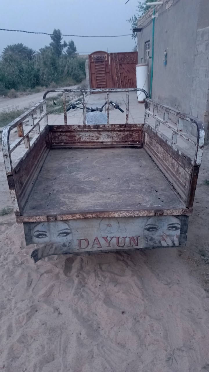 ستوته • شغاله • كامله
