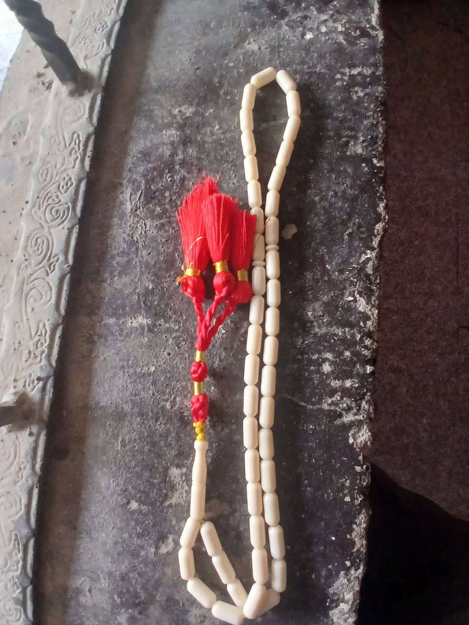 سبحه عضم جمل للبيع مكان بغداد مدينه الصدر متوفر توصيل ***********
