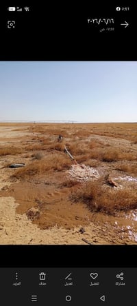 محوله ٢٥٠ • غطاس ابو ٥٠