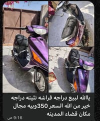 فراشه • نثينه • قضاء المدينه