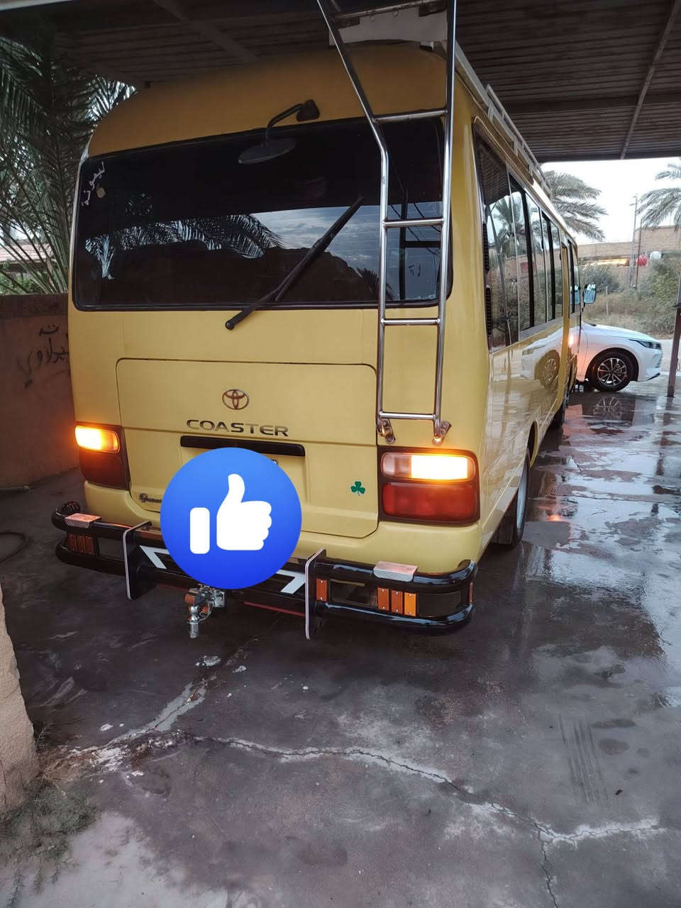 كوستر راس الثور • ٢٠١٤ • حله
