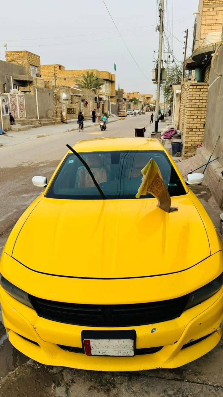 سلام عليكم جارجر 2016 معلايه 22 خطها بغداد سوق الشيوخ جاهزه مكينه وكير واكسن وحداديه وتبريد وتخم تاير كشنات حضن جلد مصفره هيئه ومرور حادثها جاملغ فقط السعر 165 وبيها مجال للشراي رقم صاحب السياره ***********
مكلف بنشر
