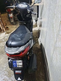 بريز بغبغاء • رمبه • دهان كامل