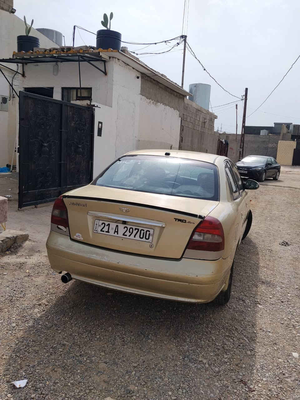 نوبرا • ١٩٩٩ • رقم سليمانية