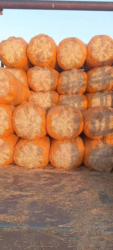 تبن مجروش للبيع درجه اولى ترس ونظافه يوجد توصيل للإستفسار الاتصال على الرقم *********** بأنسب الاسعار
