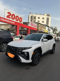 توسان ٢٠٢٥ • بنوراما • رقم اربيل