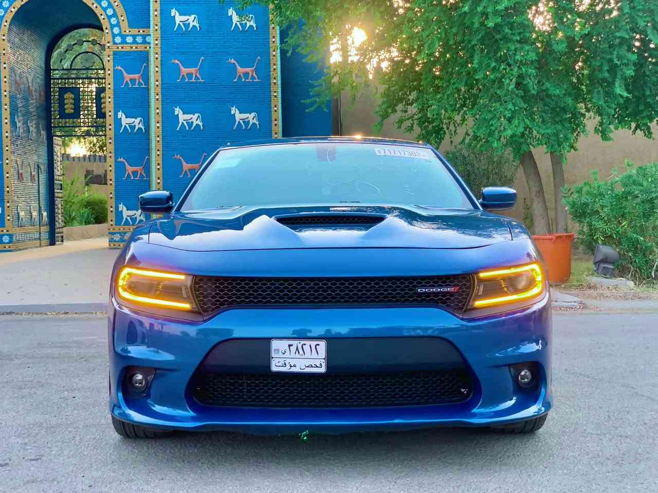 السلام عليكم
دوج جارجر GT 2022 

مواصفات الGT معروفه 

حادثه جاملغ وشويه البنيد. البنيد  نفسه مصلح بدون شاصي بدون ايرباك  ماشيه 57 صور الحادث بل منشور  السعر 235

للاستفسار. ***********

