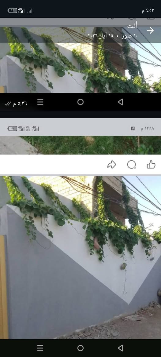 شهربان • ١٩٠م • غرفتين