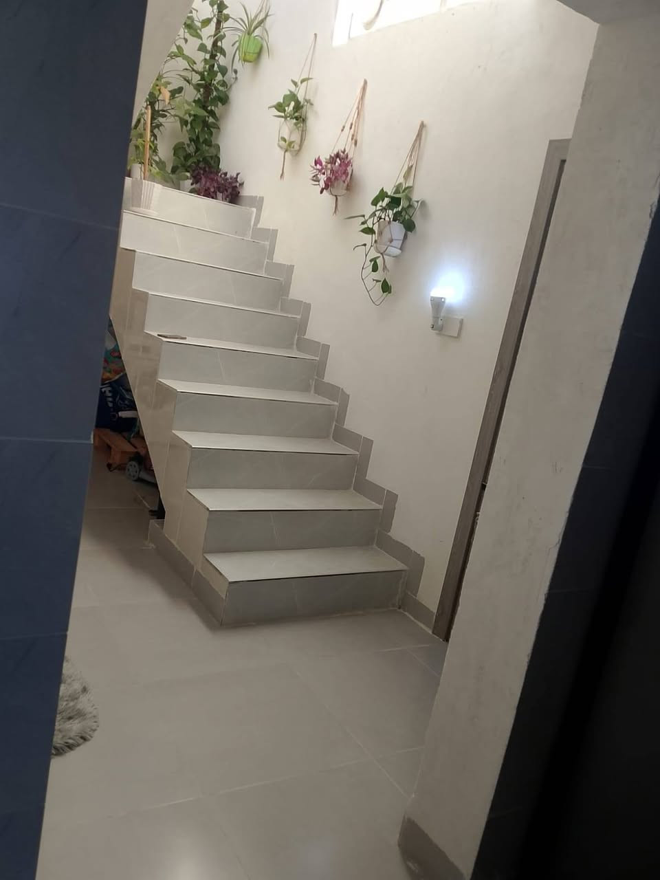 دار  زراعي للبيع 🏠
المساحة 100 متر ركن 
العنوان : حمزلي مقابل الحسينية
يتكون البيت من گراج و غرفة استقبال سقف مغربي و غرفة نوم واحدة و مطبخ و مجموعة الصحية .
🌟 البيت نظام الدكتات 
🌟خدمات كامل كهرباء مجاري و تبليط 

للاستفسار 
***********
