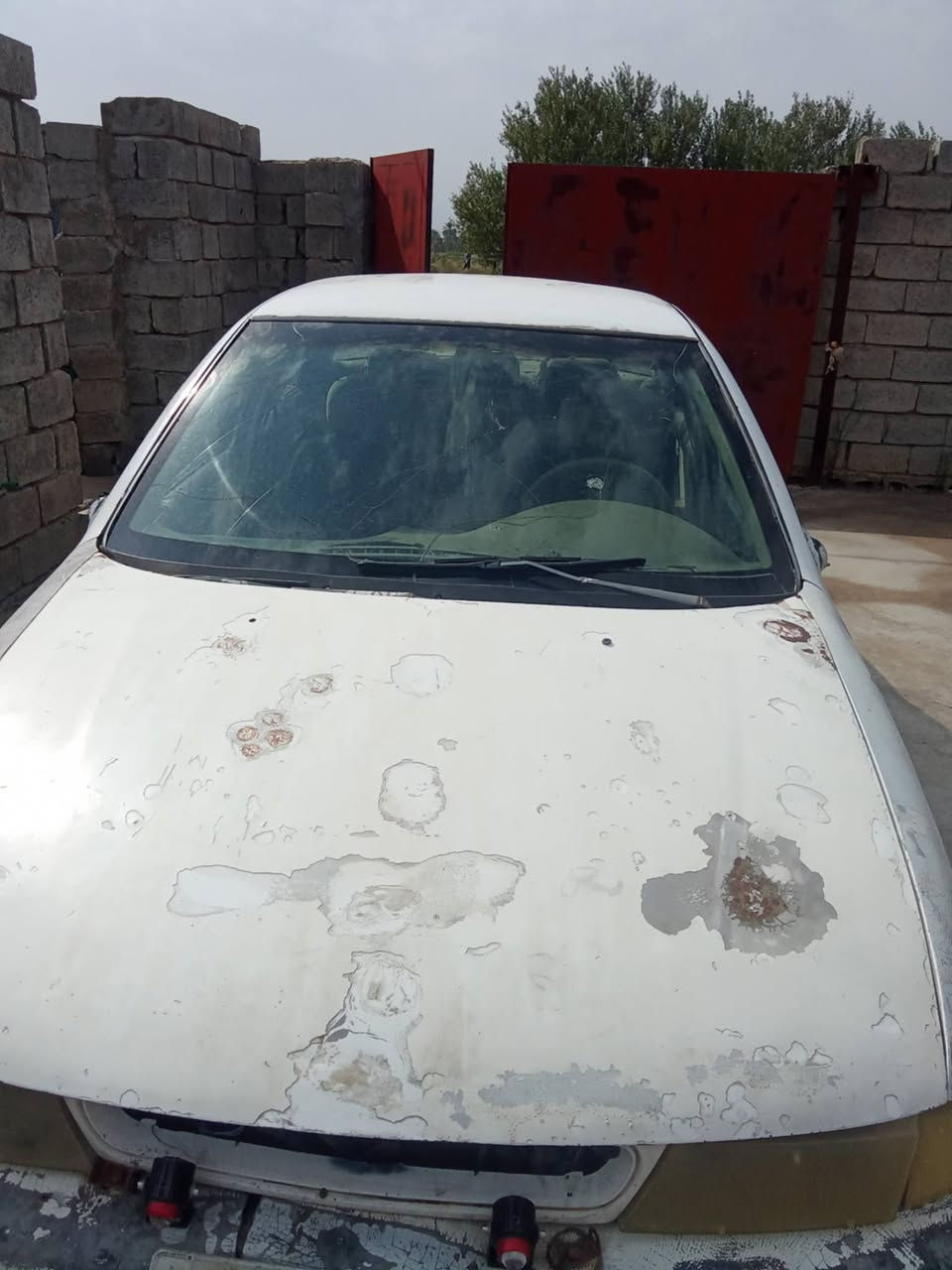 سيفيه • موديل ١٩٩٣ • الوجيهية