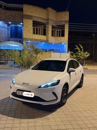 سيل 5 • ٢٠٢٥ • تحويل ثاني يوم