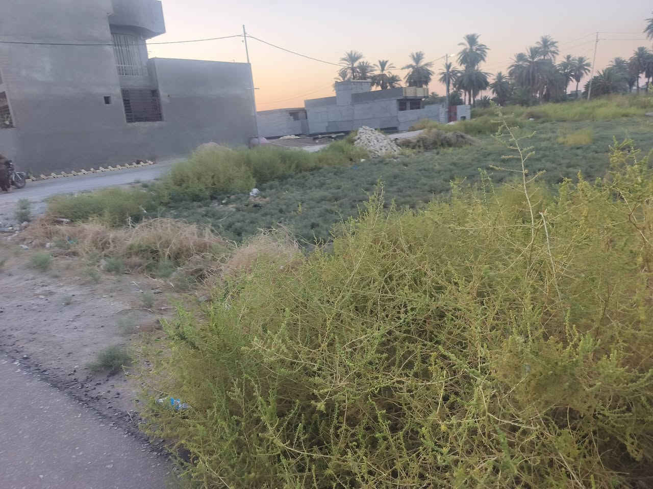 قطعه ارض ركن سند ٢٥ مساحه ٢٢٠ للبيع
قطعه ارض ركن سند ٢٥ مساحه ٢٢٠ في حي الصحه

كافه الخدمات مي اساله كهرباء تبليط اناره 
السعر ٢٢
لأستفسار ***********
