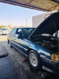 اوميكا • ١٩٩١ • عظم