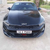 ٢٠٢٢ • بانوراما • وارد امريكي