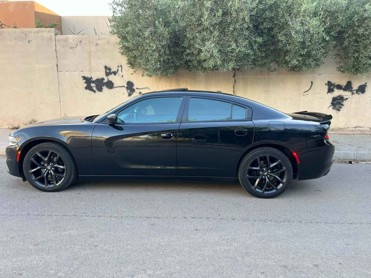 السلام عليكم
جارجر موديل  2017 Sxt كلين تايتل كفاله عامه 

وسونار منزل بالمنشور 

موصفات :

شاشه كبيرة 

لايت زنون 

كامره خلفيه

كشنات تدفئة

تشغيل عن بعد 

كشنات حضن 

ماشية : 105 مايل حقيقي 

كير محرك كفاله عامه ع الشركة 

سيارة جديدة بعمنئ الكلمة 

رقم اربيل  انكليزي هزه وسنويه جديده 

***********

مكان السيارة موصل
