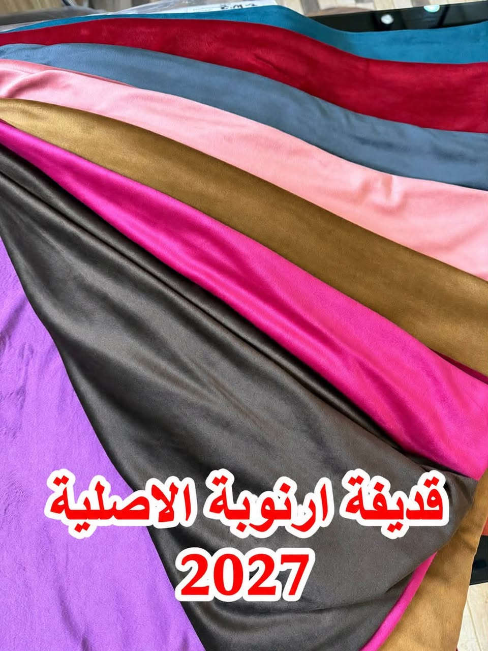 قطيفة ارنوبة • الأسد الذهبي • ٢٠٢٧