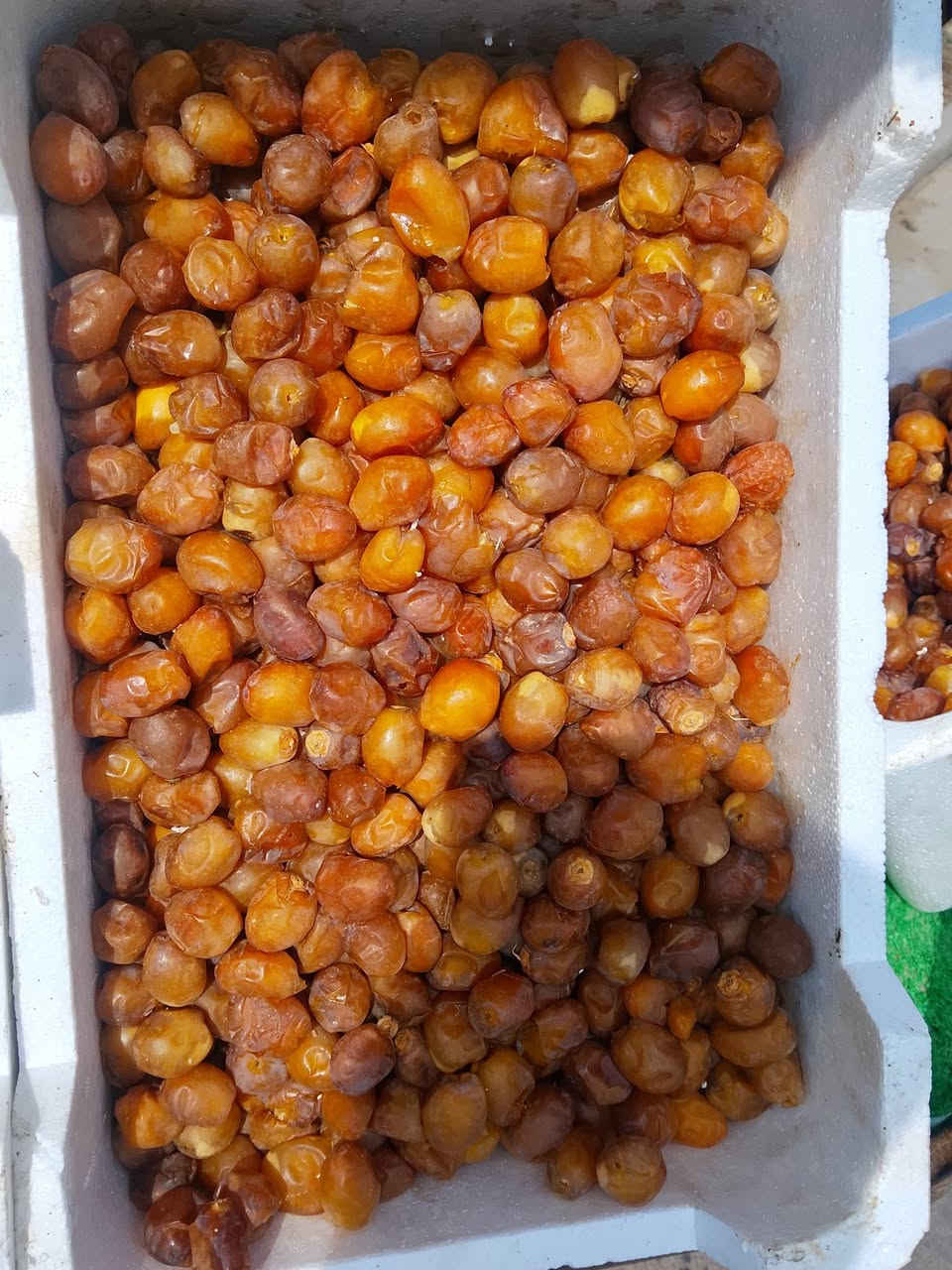 تمر برحي • كيلو