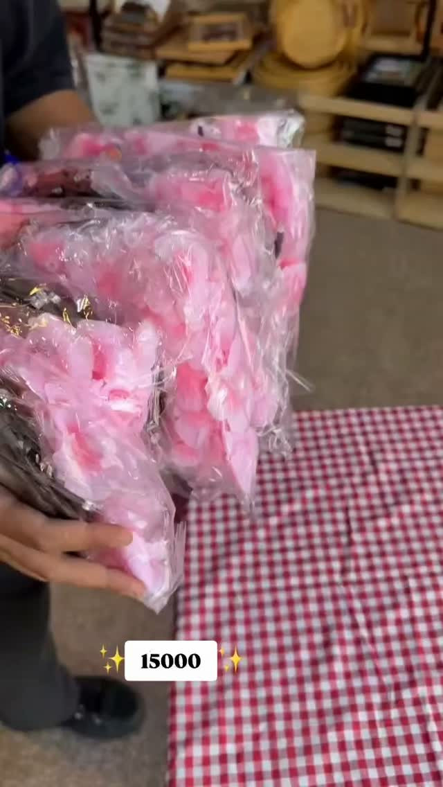 نشرة وردة • ١٨٠ سم • الناصرية