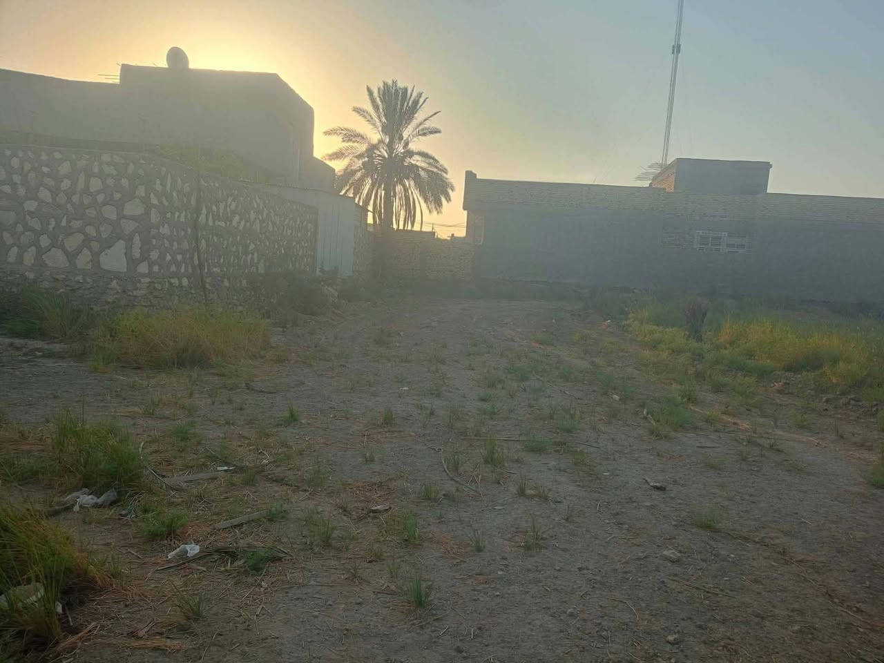 قطعة زراعية • سند ٢٥ • ١٠٥٠م