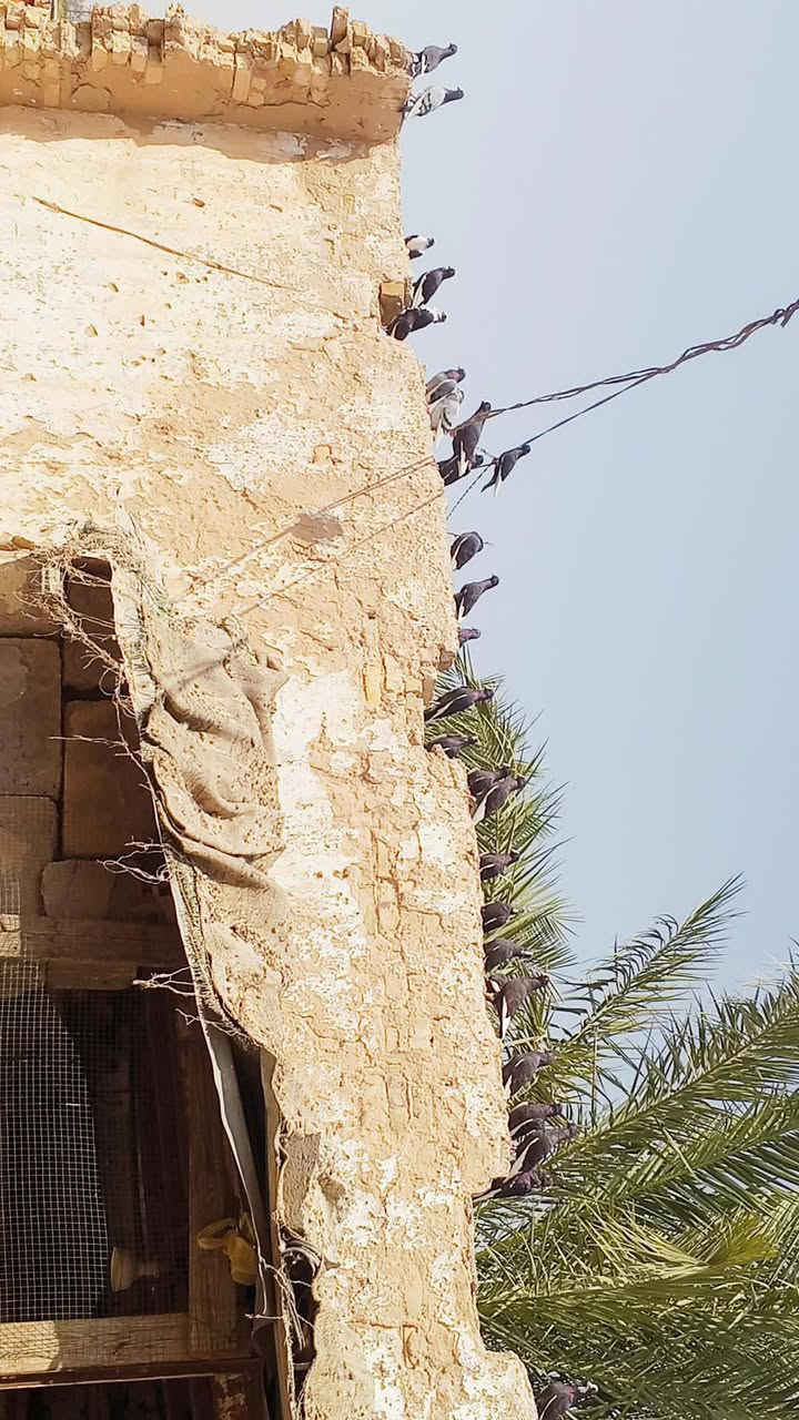 سلام عليكم متاح شوامل بسود العدد 11زوج العنوان ديالى قضاء بلدروز السعر الزوج15 وبي مجال والشراي ينتصل على هاذة الرقم ***********
