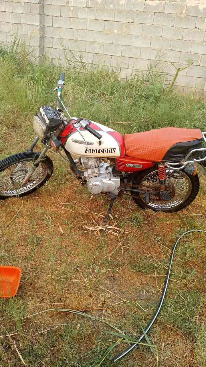 تايگر • ٢٠٢٠