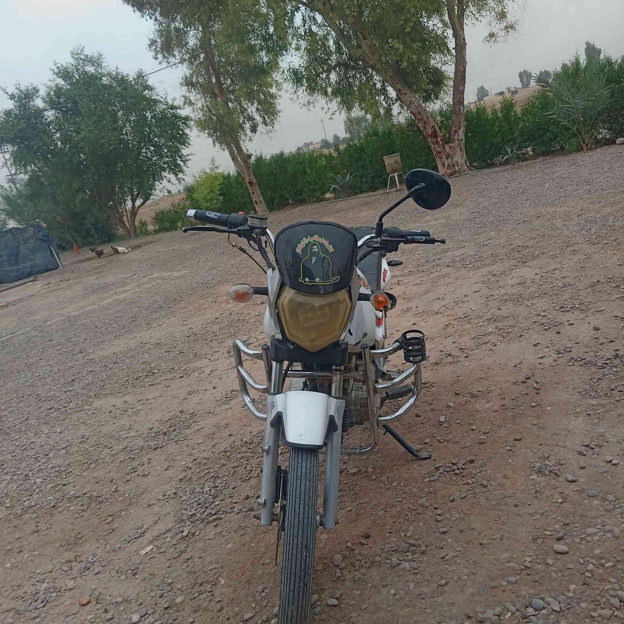 ام زد • ٢٠١٦ • نضيف