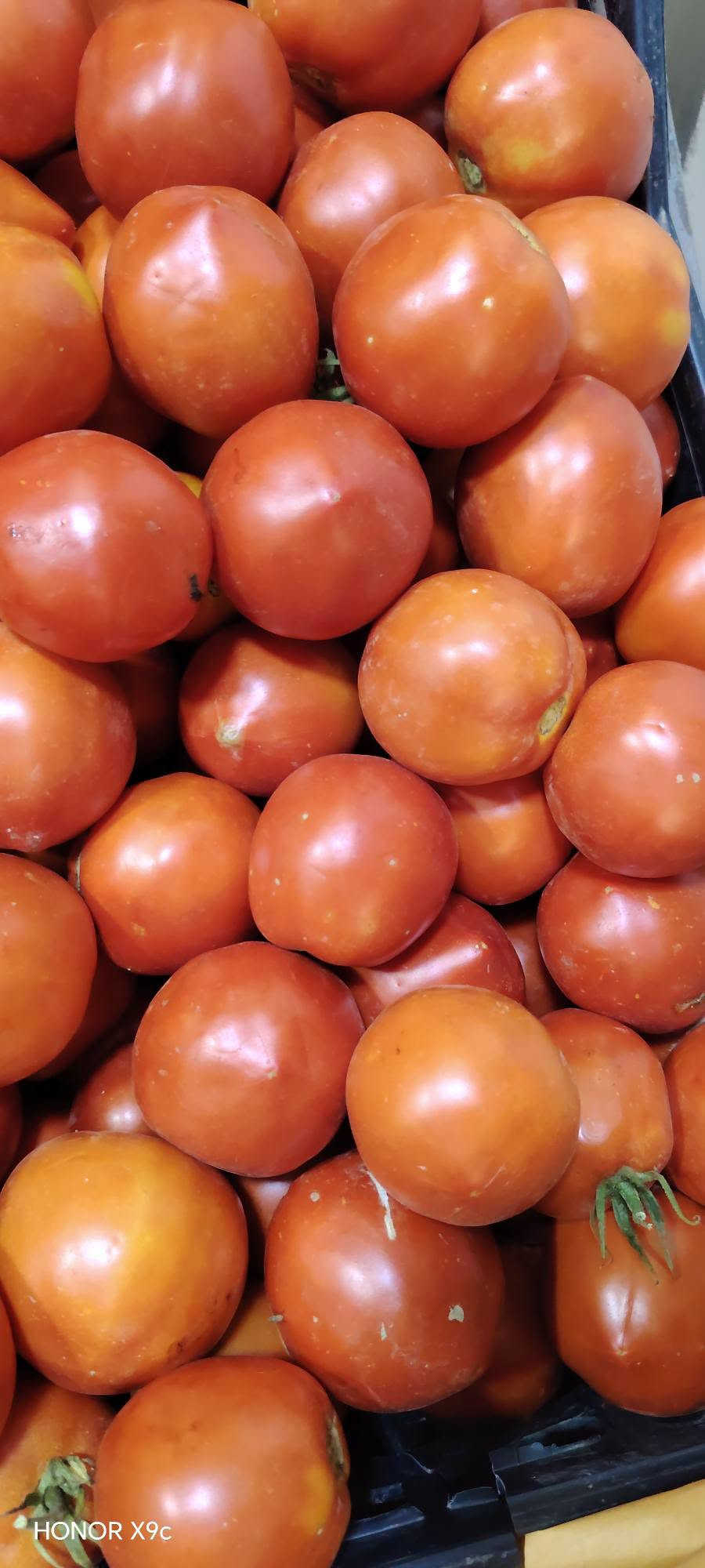 خضار وفواكه • متنوع • طازج