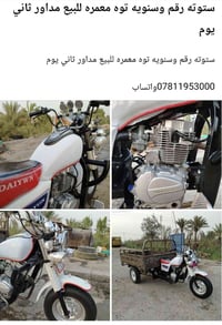 ستوته • معمرة • رقم وسنويه