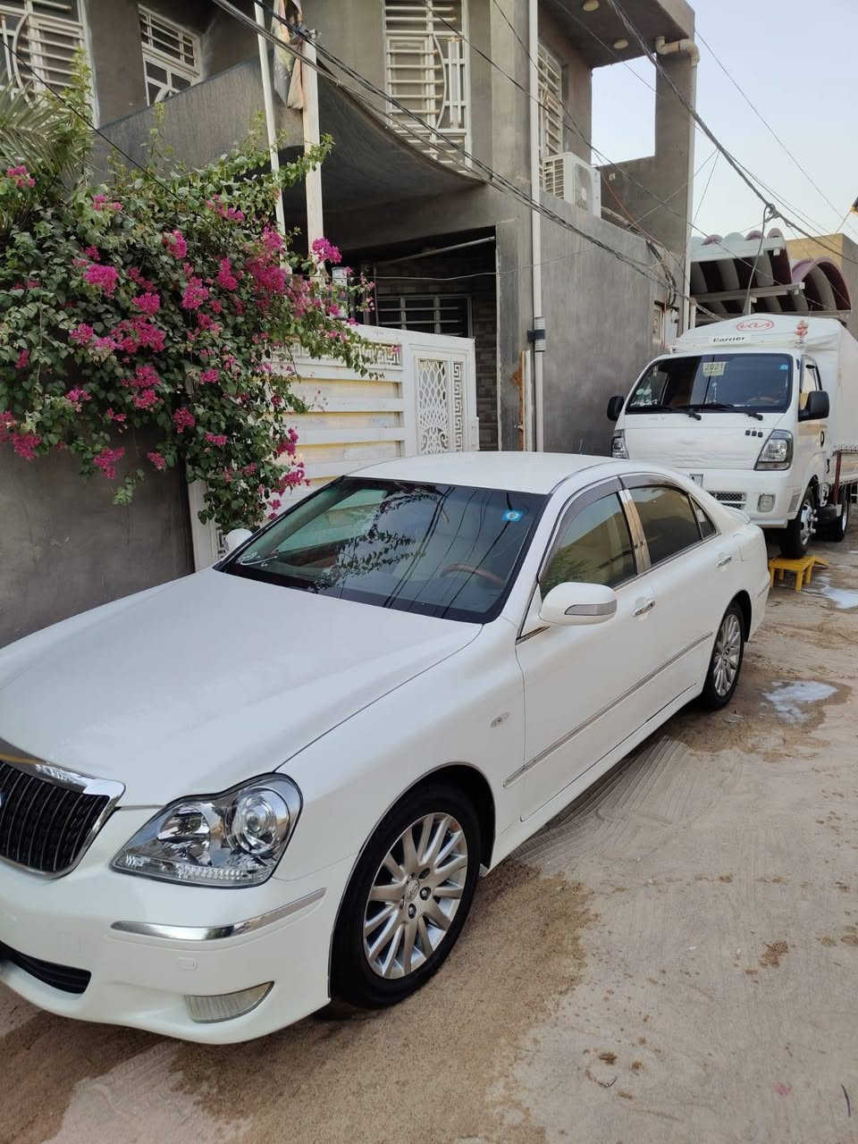ماجسته • مكفوله • جلد وفتحة