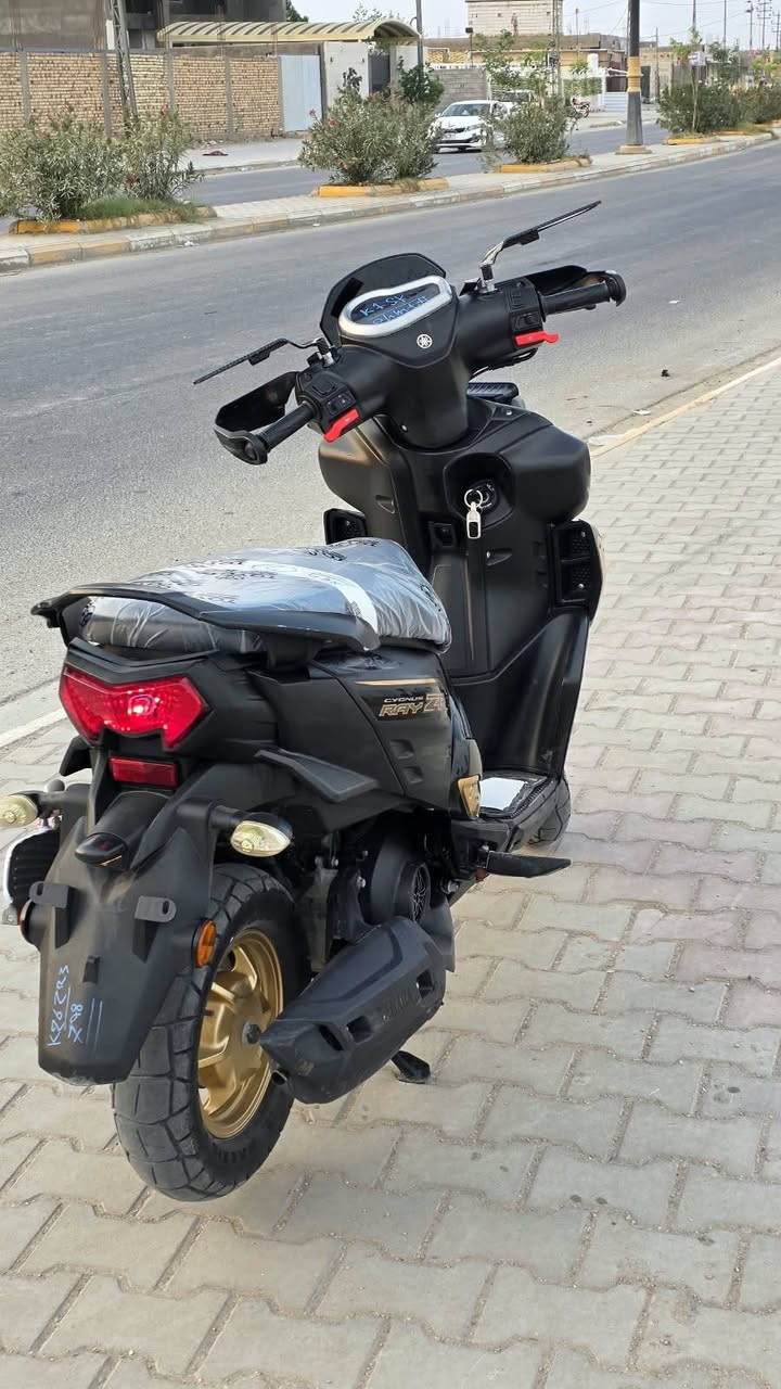 راي • ٢٠٢٤ • درع