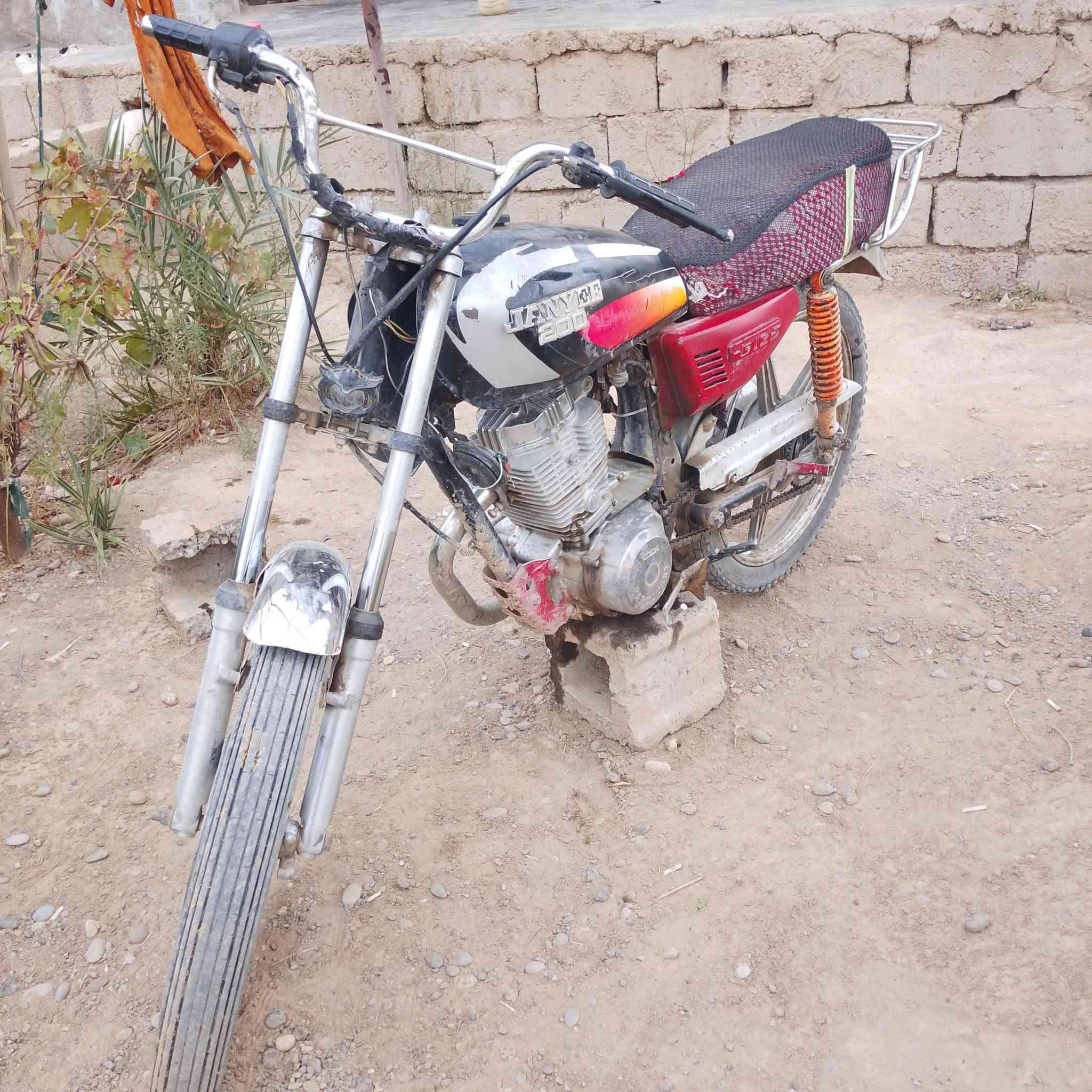 بارت عيتاني • ١٥٠ • نشاط فول