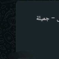 وظيفة • عمل عام • مراسلة واتساب