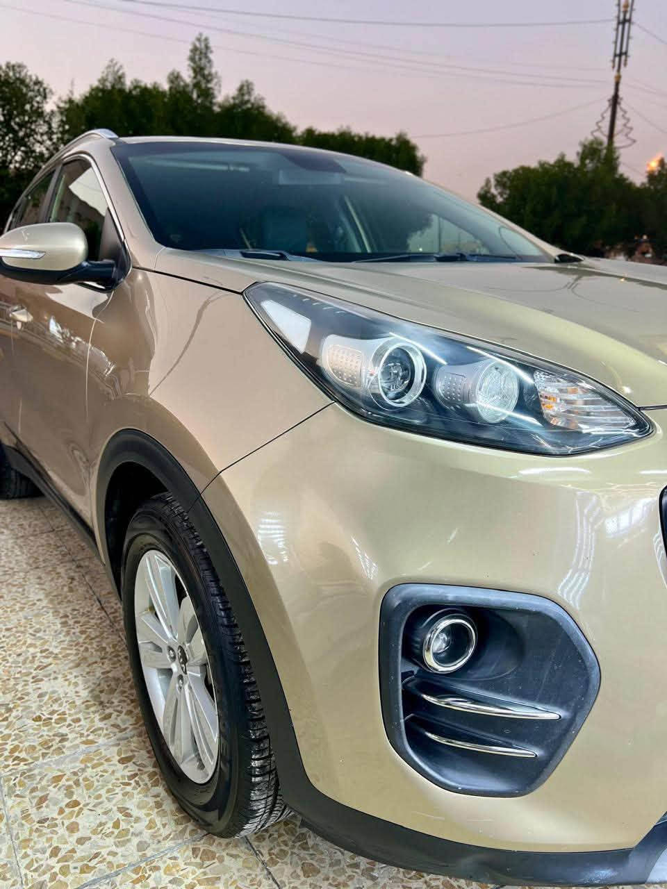 سبورتج ٢٠١٩ • ماشيه ١٢٥ • مكفوله