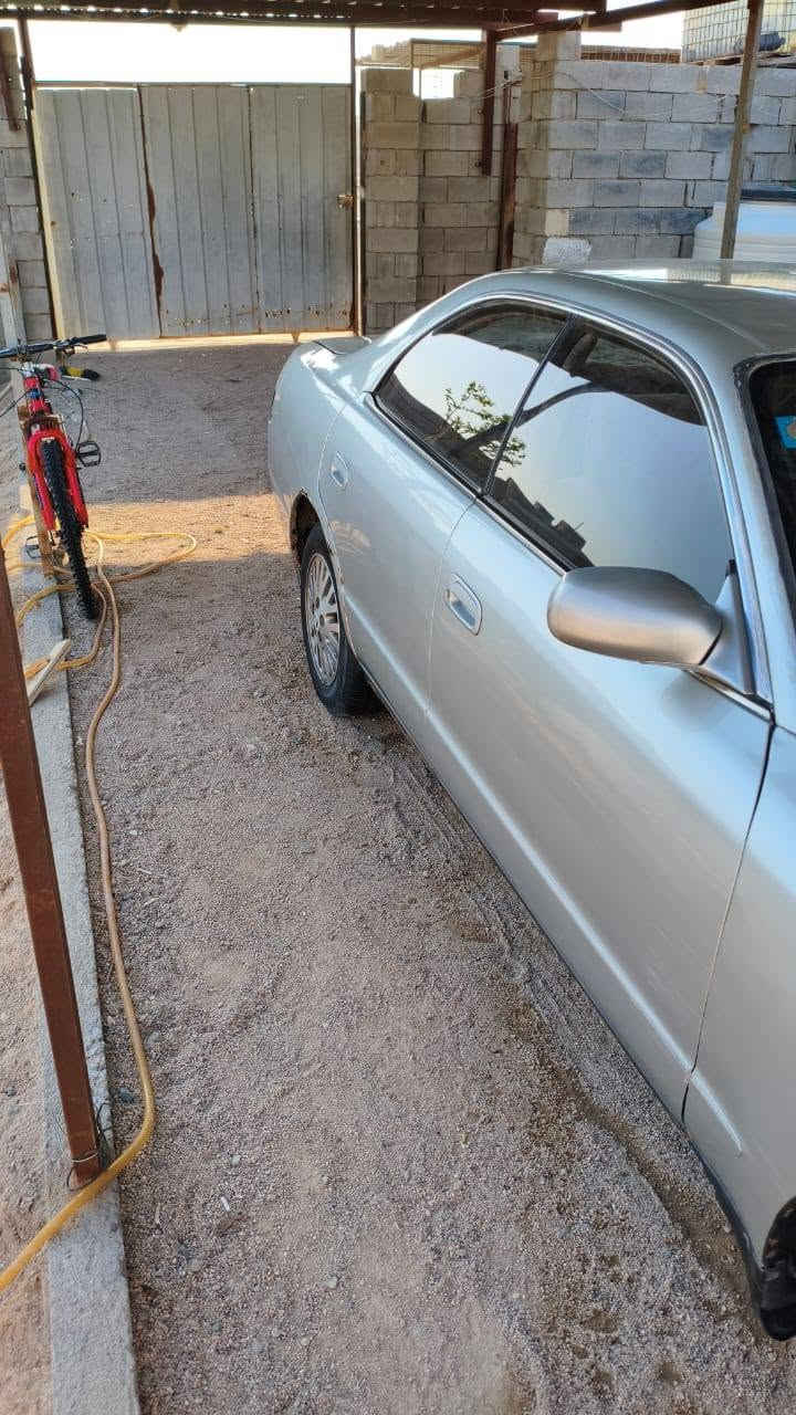 شيزر رقم بصره كفاله نقل وكص باسمي تخم تاير حداديه توني مسويها كير محرك بجيس 2500 كهربائيات كلها شغاله
سعرها 45 وبيها مجال لطيبين. 
استفسار   ***********  
شيزر رقم بصره كفاله نقل وكص باسمي تخم تاير حداديه توني مسويها كير محرك بجيس 2500 كهربائيات كلها شغاله
