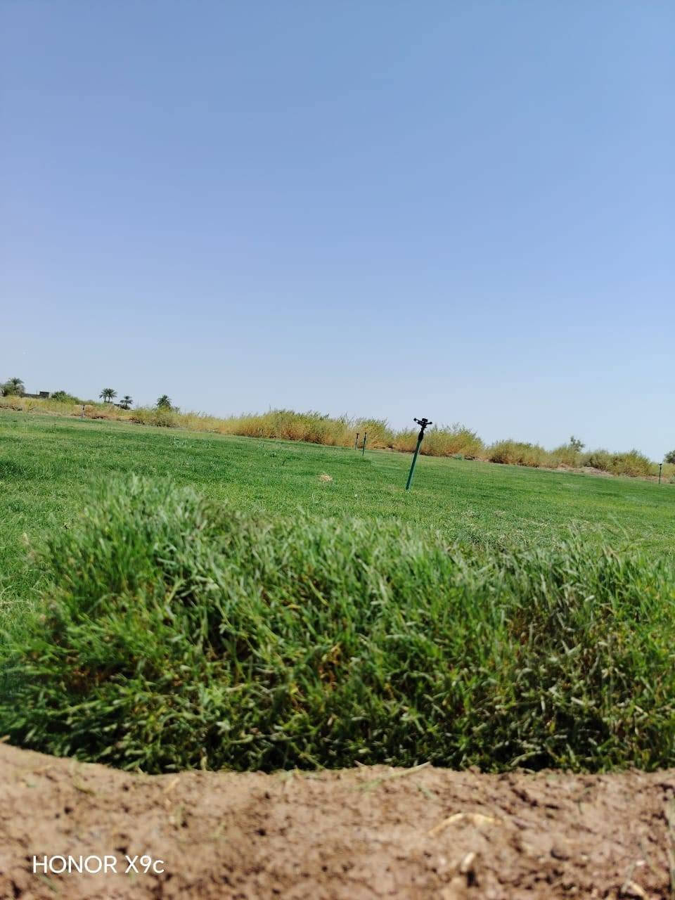 ☘ثيل طبيعي نوعية ممتازة(هندي درجة اولى)🍀  توصيل مجاني
🌳مناسب للاستخدام في ( المنازل🌳_ الحدائق🌳_ الملاعب🌳_ الدوائر🌿_المشاريع الاستثمارية ) 
 
🌱سعر المتر  اخو البلاش للكميات !

(قابل للتفاوض للكميات الكبيرة ) والتوصيل مجاني مجاني!!!!! 
 
متوفر لدينا كافة انواع الثيل الطبيعي💚
فرنسي-ايطالي-امريكي-هندي-اسباني-انكليزي

قدره تجهيز كميات كبيرة للمشاتل والملاعب
#نوعية ممتازة 
#هندي وجميع الانواع الاخرى
وبأسعار تنافسية 
 لدينا كادر متخصص في زراعة الثيل بطريقة صحيحة وناجحة يجيك لباب بيتك

ثيلنا الافضل وتوصيلنا الاسرع 

للطلب يرجى مراسله الصفحه او الاتصال على
***********/***********
