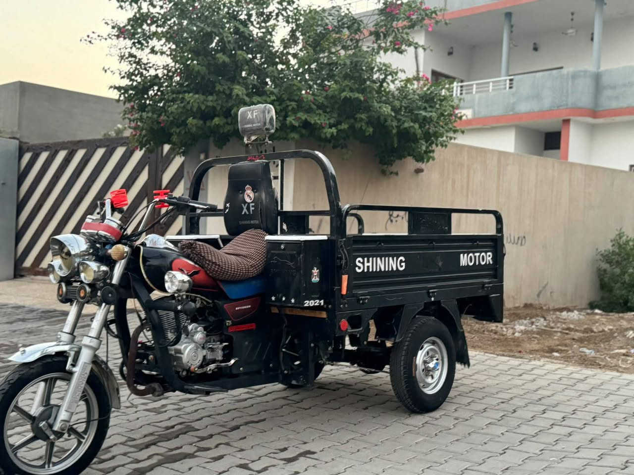 ستوته • ٢٠٢١ • فحل