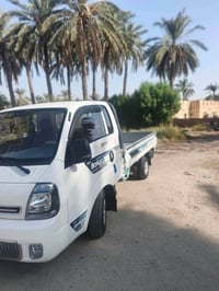 كيه حمل • ٢٠٢٣ • كفالة عام