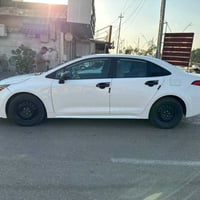 كورولا • ٢٠٢٣ • رقم أربيل