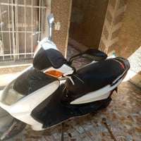 سكنس • نثية