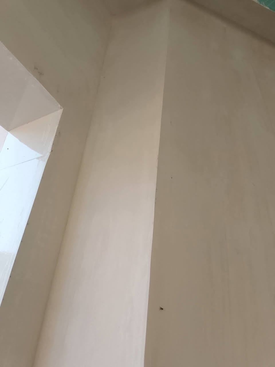 خلفة البخ سمنت جص بورك واجهات كوبلانات وجهات حسب الطلب مع وجود كادر باسعار مناسبة *********** مكاني كربلاء

