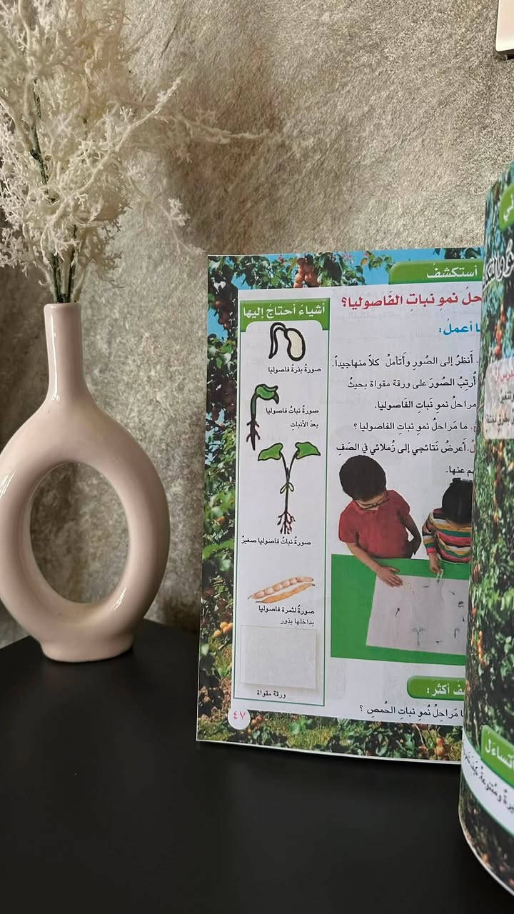 دعوة لمدراء المدارس لطبع النقص في المنهج لطلبتنا الاعزاء
لجميع المراحل الدراسية
وبأسعار الجملة 
يوجد طبع مفرد للطلبة 
سعر الكتب للمفرد فقط : 
الكتب كاملة للأبتدائية ٢٥ الف
الكتب كاملة للمتوسطة ٣٠ الف
الكتب كاملة للأعدادية ٣٥ الف 
+ كتب المهني 

هيت - فلكة الساعة - مطبعة الهيتي 
للأستفسار : 
***********
***********
‏Instagram : @book_printing0 
ورق ۸۰ غرام
طباعة رزليوشن ۳۰۰
غلاف هاي كلوسي ٢٦٠ غم
كبس حراري
مدعم بكلبسات من الداخل
يوجد توصيل لكل محافظات العراق
