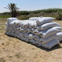 تبن جت • العدد ٨٠ • الانبار هيت