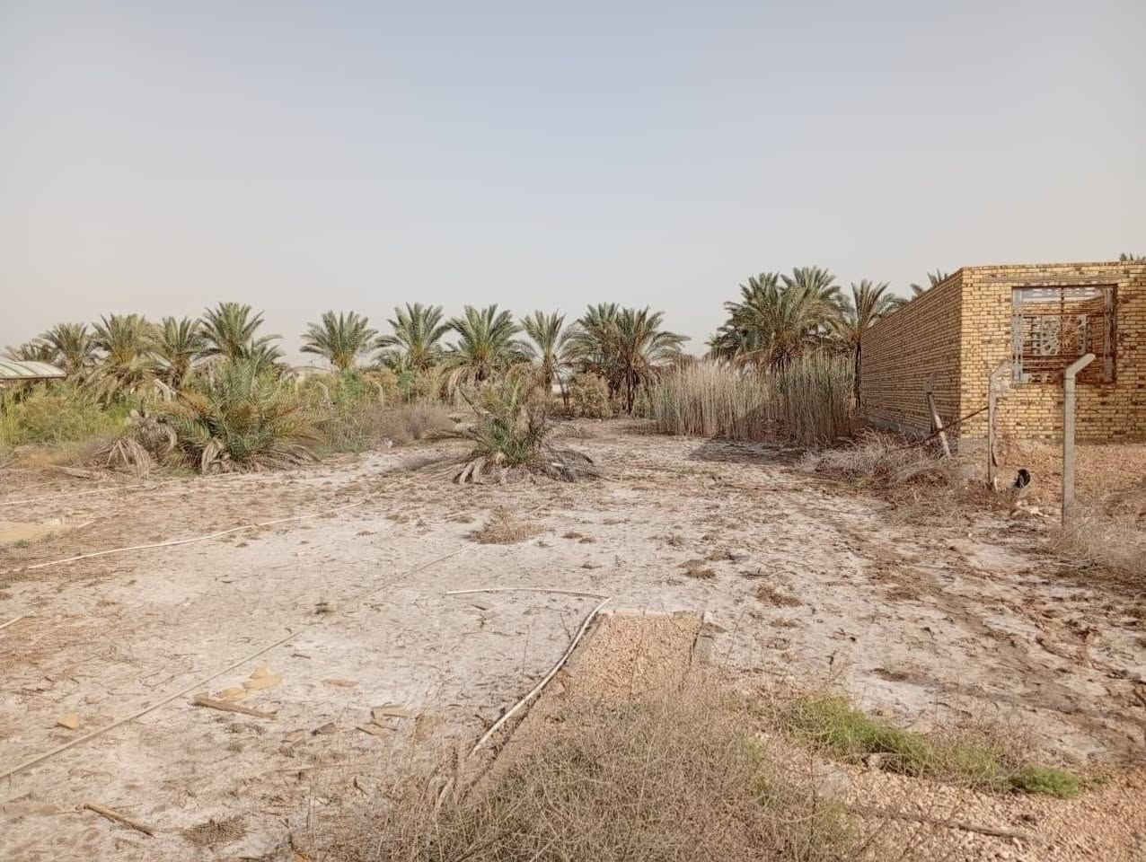 نجف كوفه • ١٢٦٠م • شارع ٤٠ تجاري