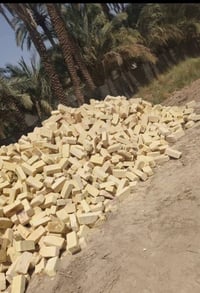 طابوك • عادي • جمهوري