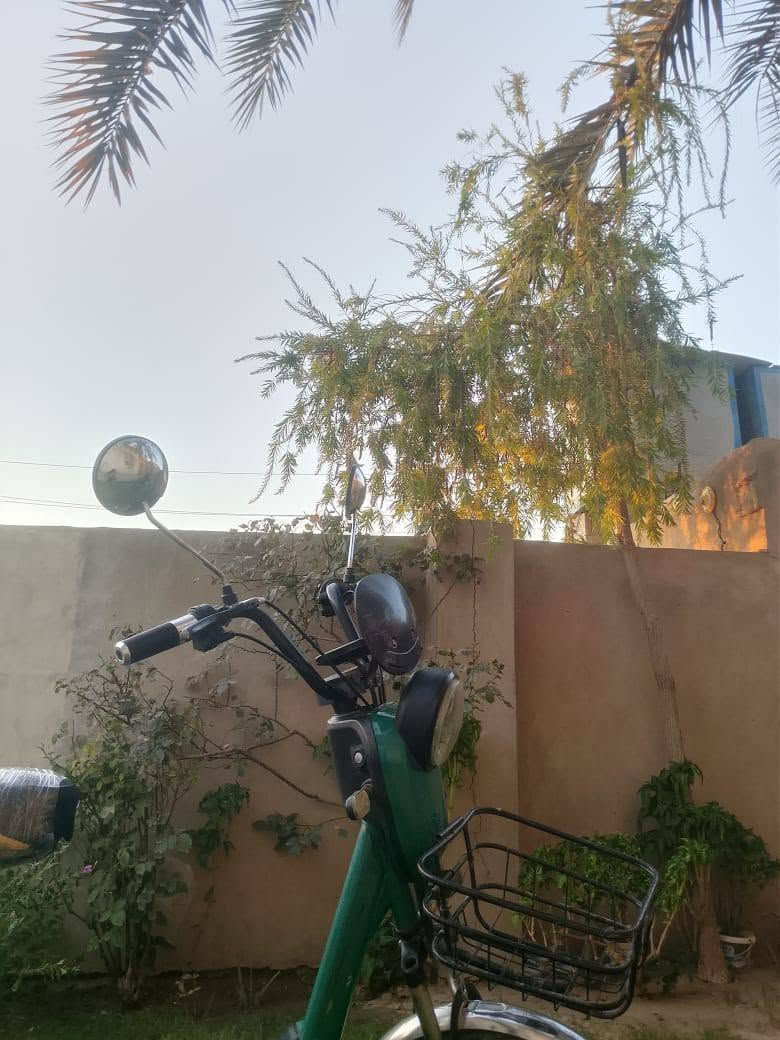دراجه شحن هتس 6بطاريات 4نمر دراجه نضيفه فول ومكفول من كل النواحي الشحنه الوحدة تكفيك 25كيلو والسعر 300وبي مجال  رقم الاتصال *********** رقم الثاني ‏‪***********‬‏
