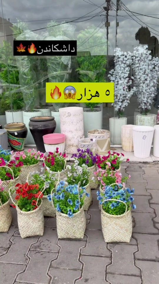 داشکاندن • للبيع
