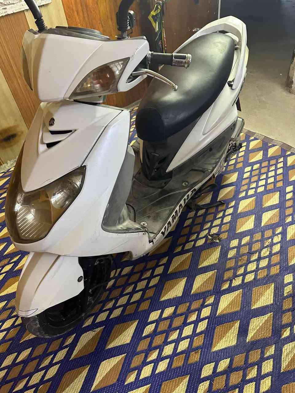 سكنس فحل • ياباني • كفاله عامه
